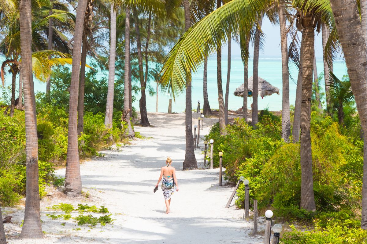 Palm-lined sandy path leading to the turquoise sea at Paje beach, Zanzibar
