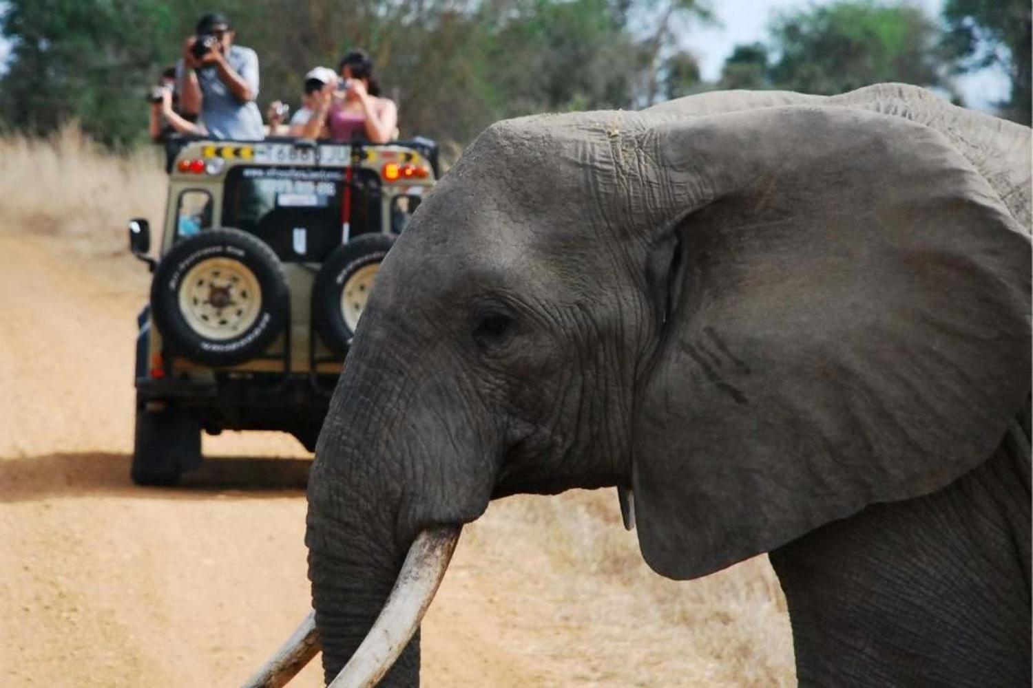 2 Days Mikumi Safari From Dar es Salaam Guide