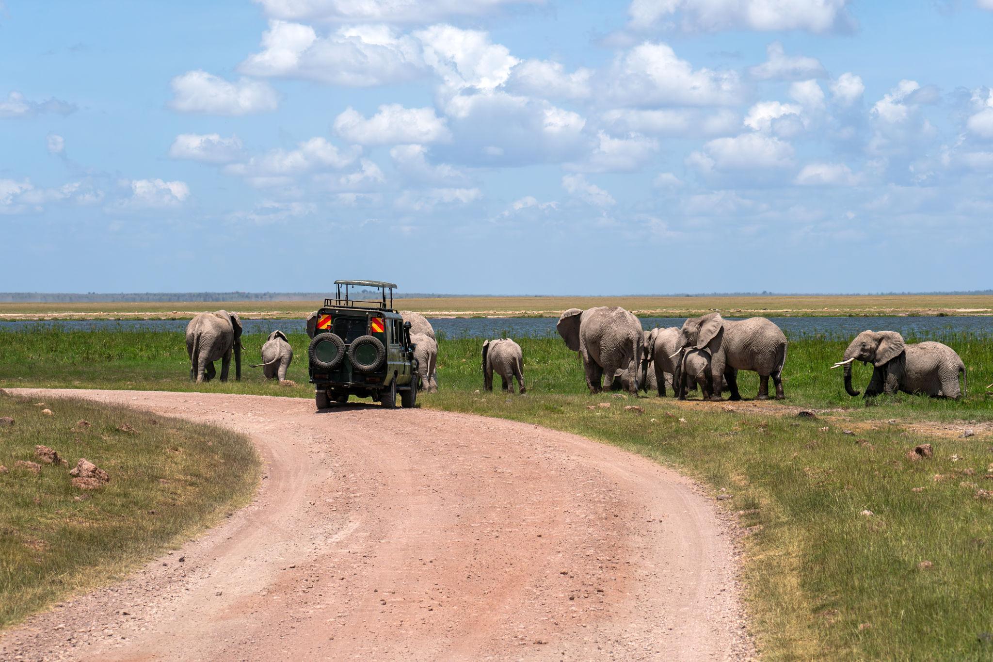 Enjoy Tanzania safari by combining football and wildlife during AFCON 2027 