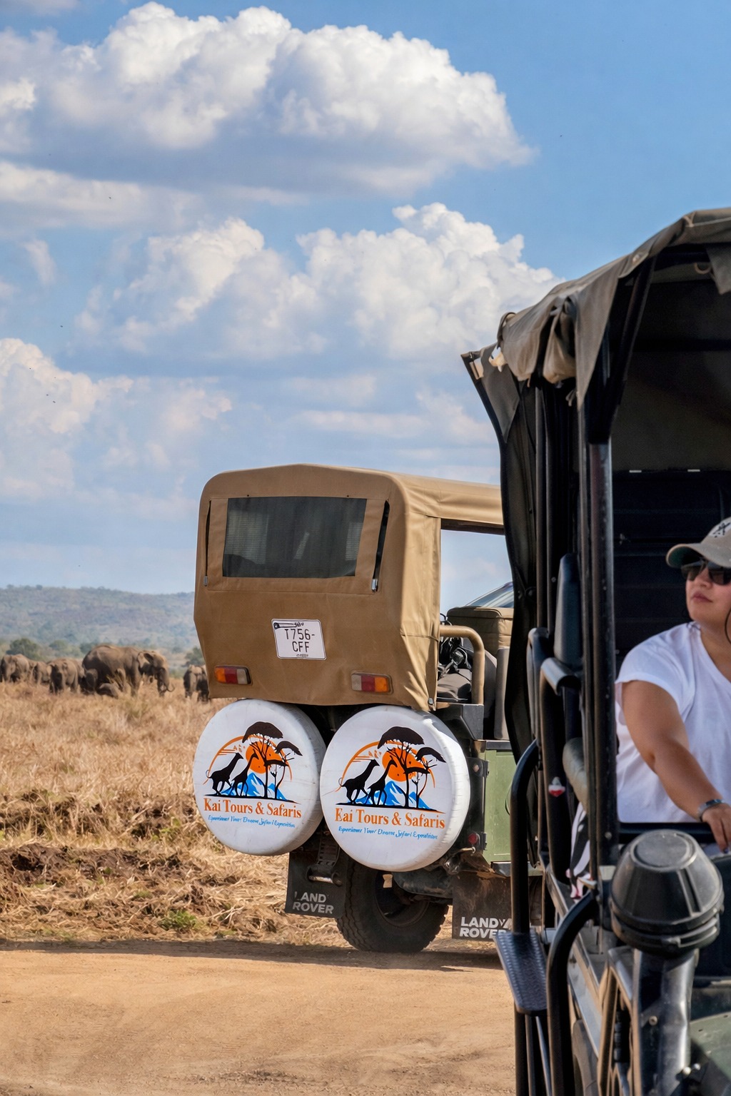 Company Safari vehicles during Mikumi Gamedrive