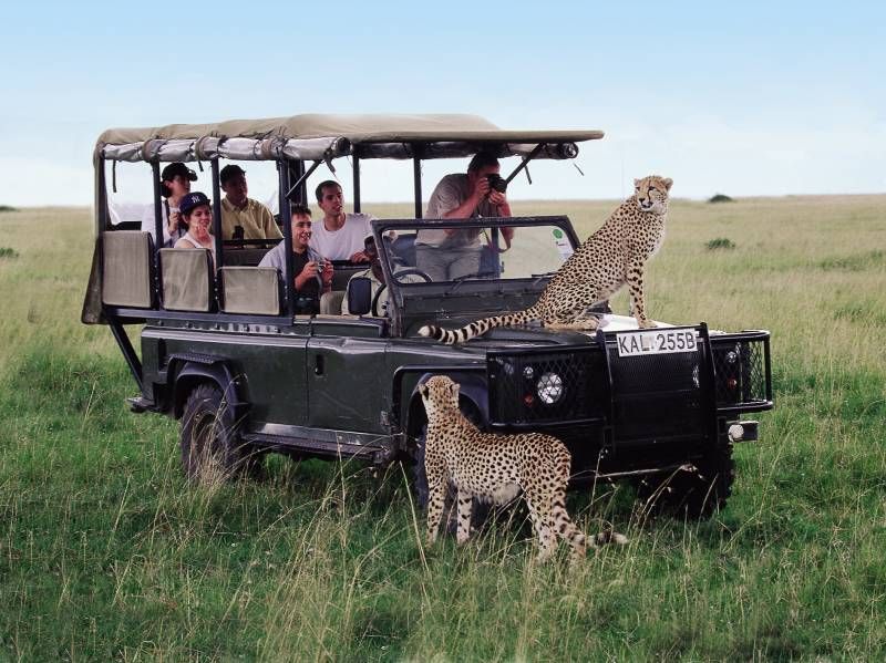 Leopards approached humans in Serengeti National Park