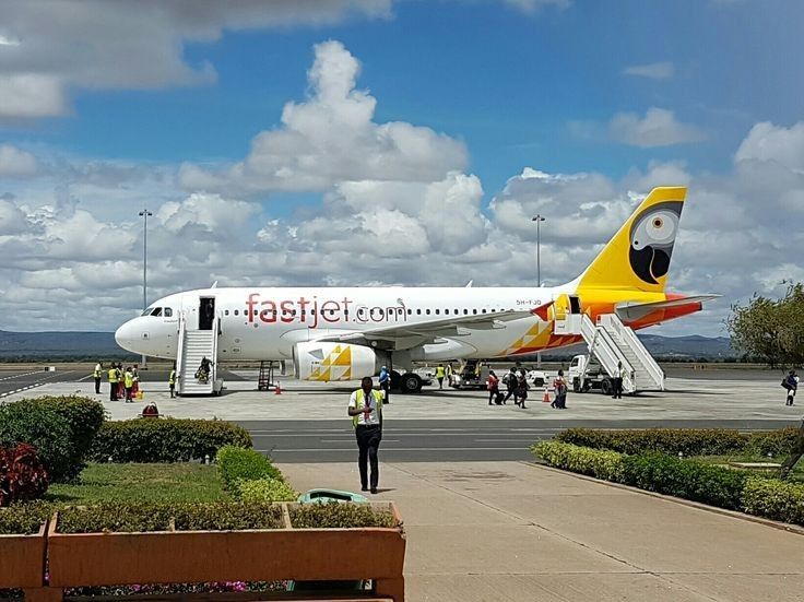 Safari Accessibility