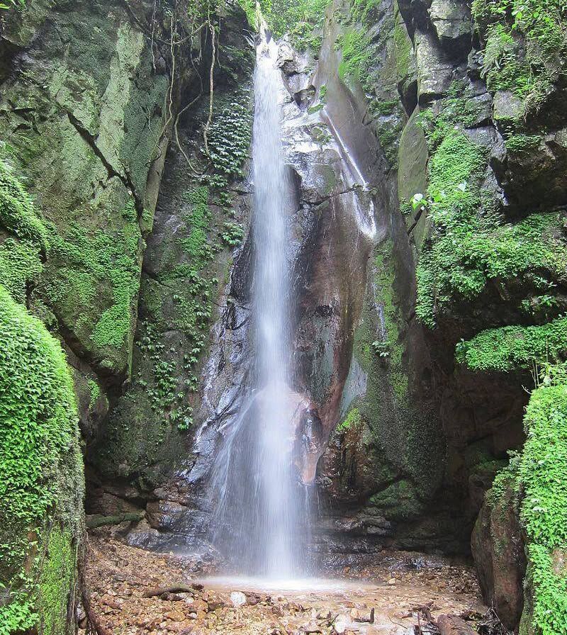 3-Day Safari to Gombe National Park from Dar es Salaam