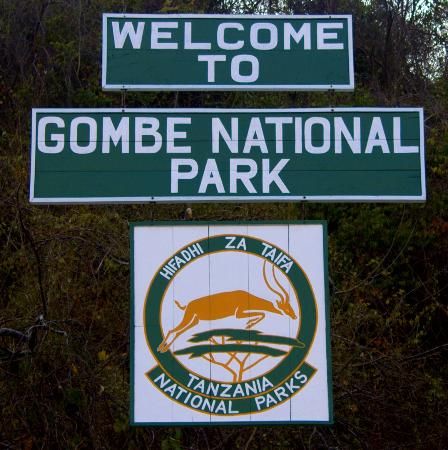  Best 3 Days Gombe National Park Safari