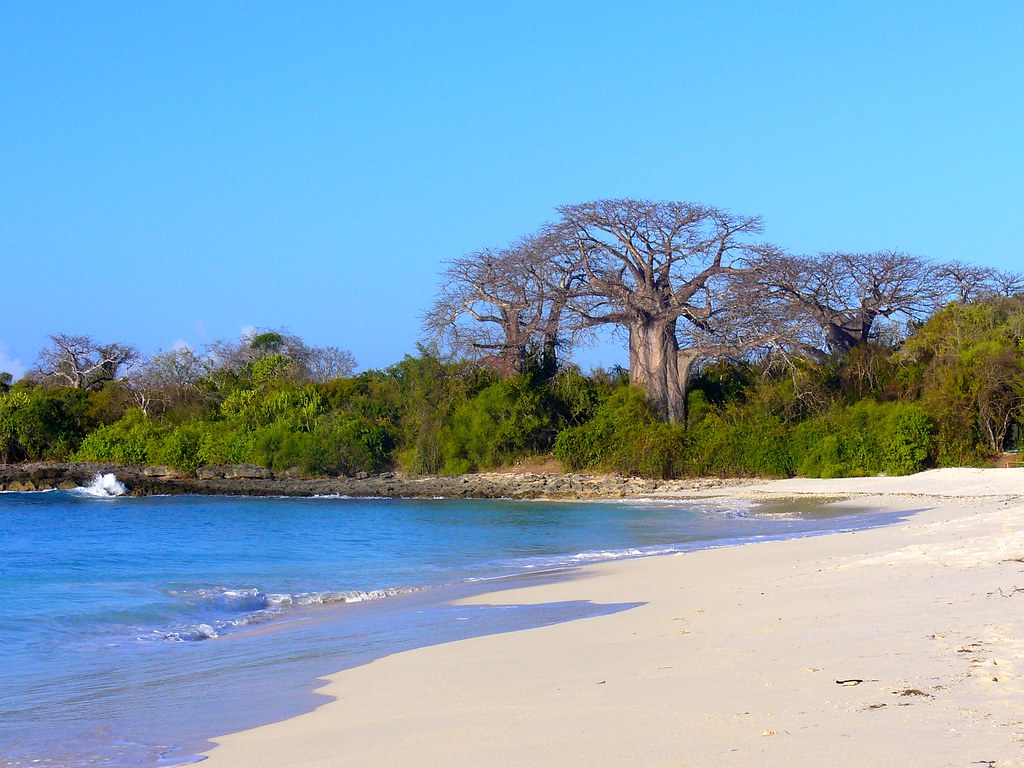 4-Day Tanzania - Zanzibar Complete Guide