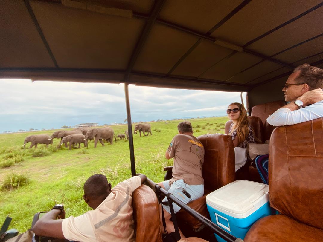 Tourists enjoying 2-day luxury Mikumi safari from Dar es Salaam in safari vehicle