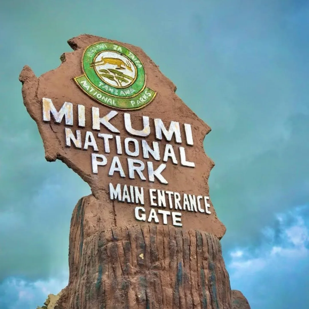 The Mikumi National Park Entry Gate