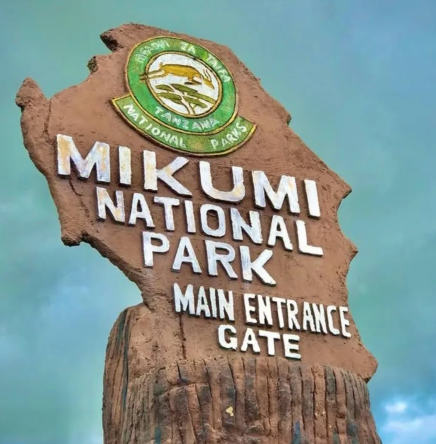 Mikumi main gate