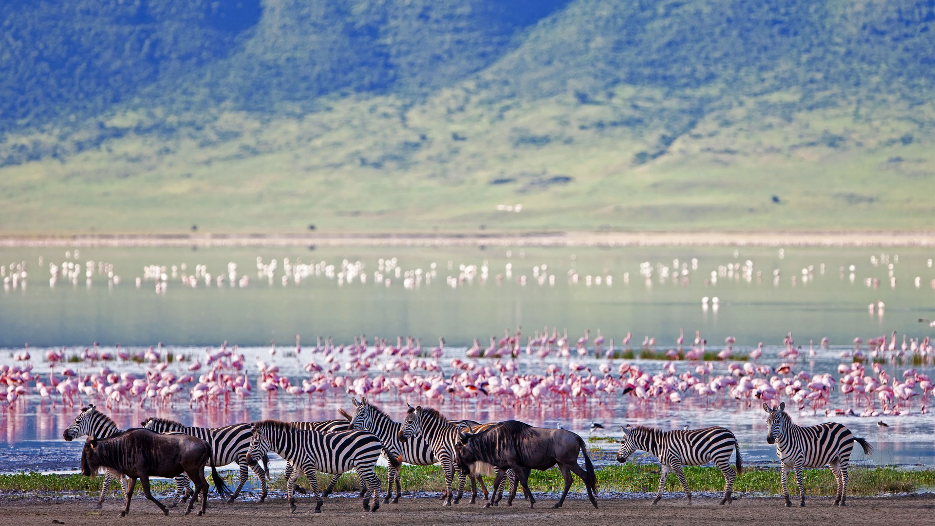 Ngorongoro National Park safari best experience for AFCON 2027