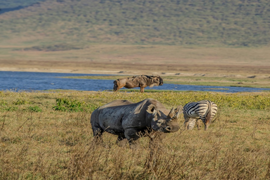 Ngorongoro Crater