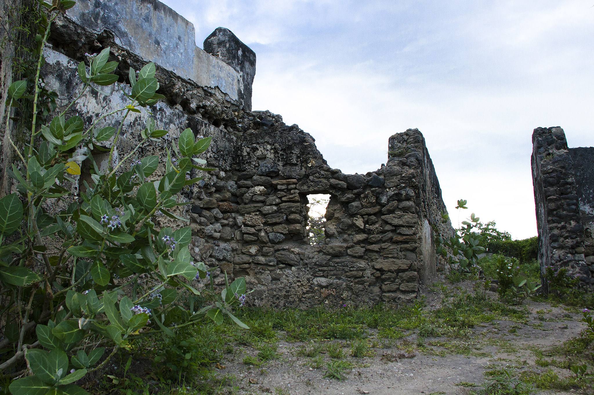 History and Ruins of Saadani