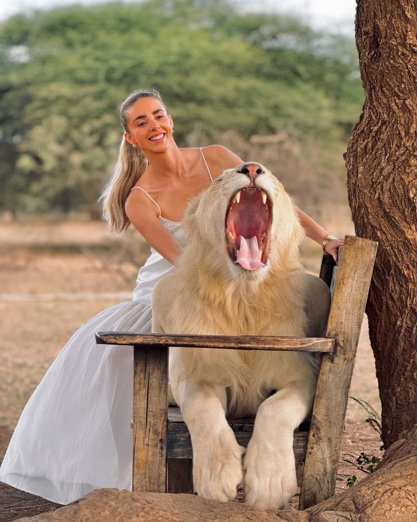 Wildlife photography in Serval Wildlife Sanctuary