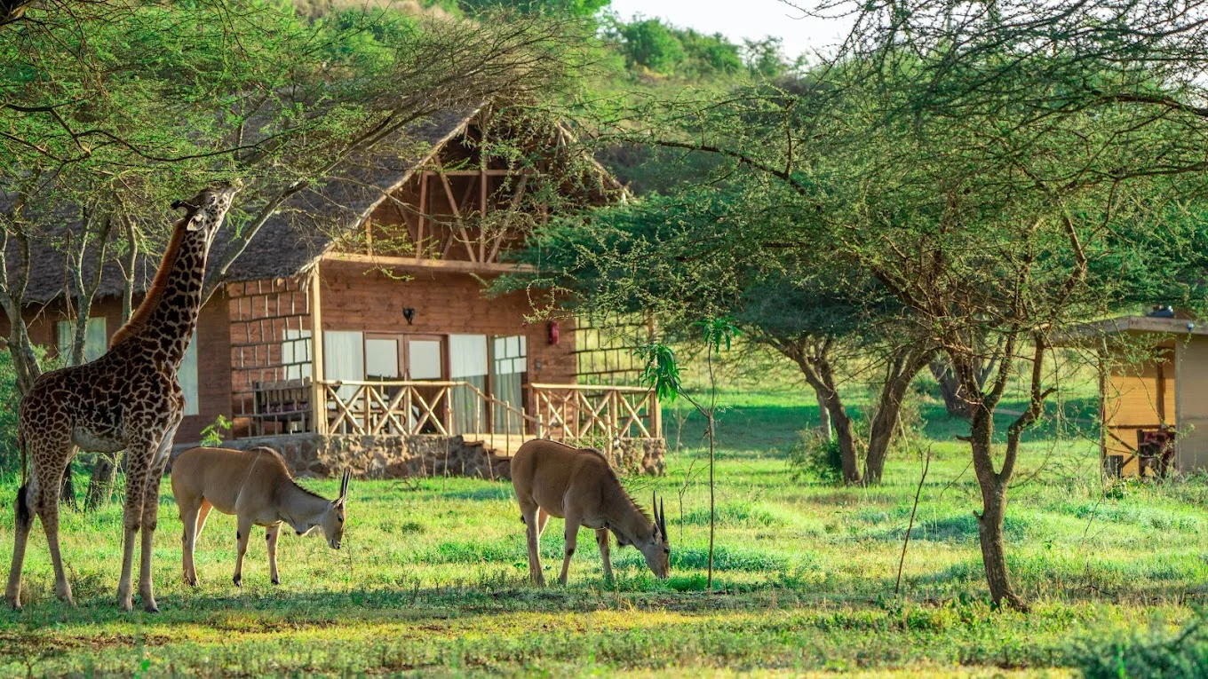 Honeymoon Safari guide