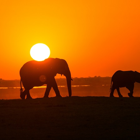 Sunrise over the Tanzanian plains