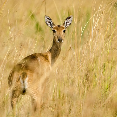 The beauty of Selous National Park