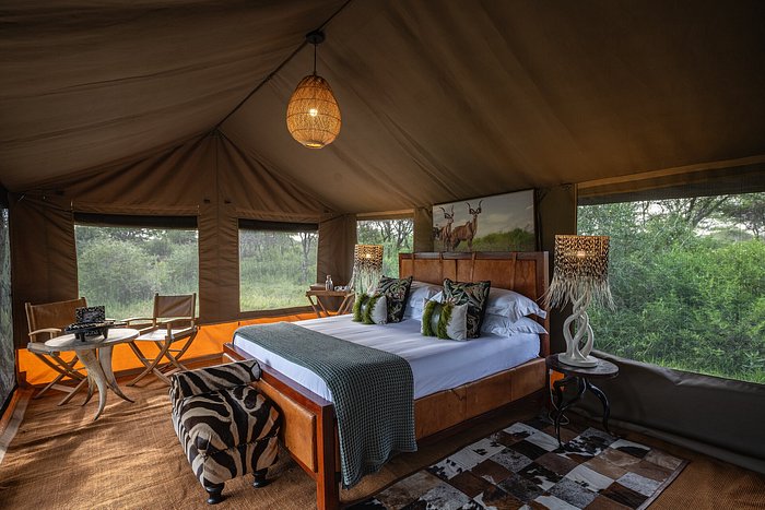 Mikumi Wildlife Camp
