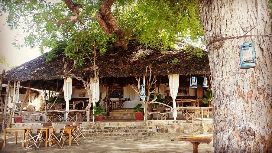 Enjoy your Mikumi Safari in Mikumi Wildlife Camp
