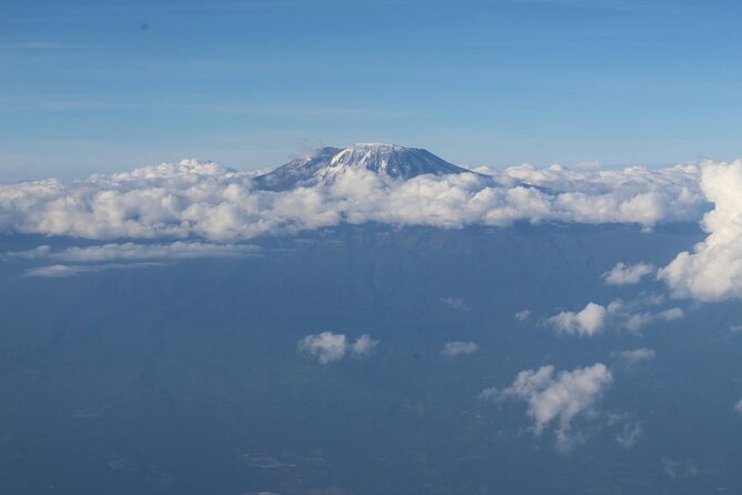 Short Tours and Safaris Near Kilimanjaro